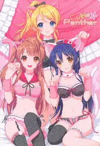(C85) [JOKER TYPE, Snow Ring (Nishimata Aoi, Shirahane Nao)] Cutie Panther (Love Live!)