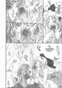 (C65) [Shimoyakedou (Various)] Yumeneko (Tsukihime, Fate/stay night) [English]