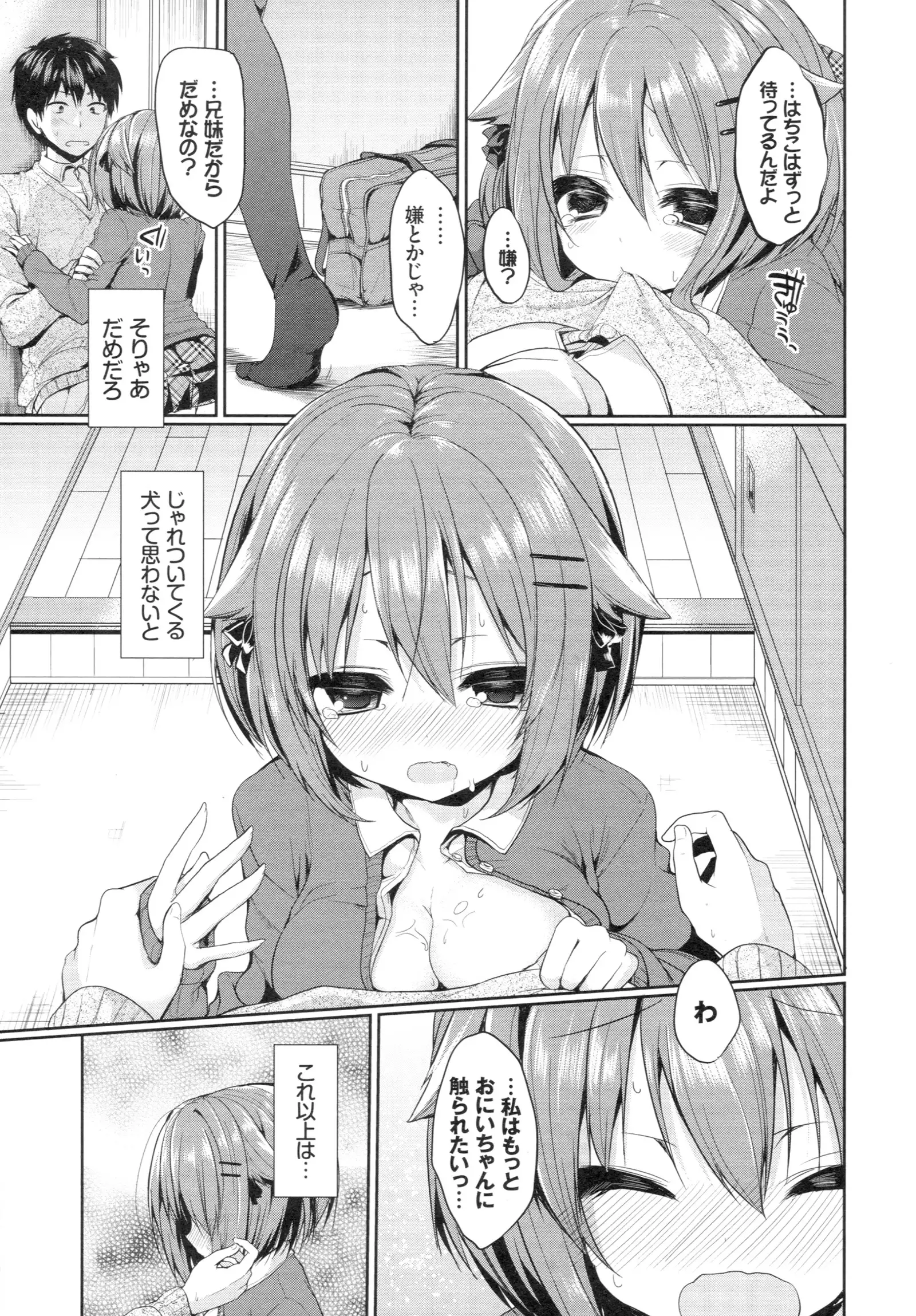 Junai Maniac ~RePure~ B2 Tapestry Tsuki Melon Books Genteiban