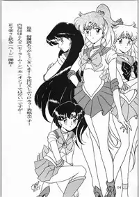 [Effecter (Various)] Katsugeki Nyan Nyan (Bishoujo Senshi Sailor Moon)