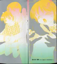 [Fuusen Club] Naisho no Ehon