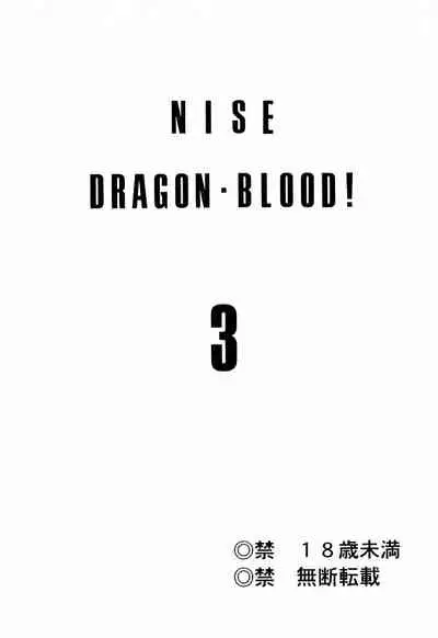 NISE Dragon Blood! 3