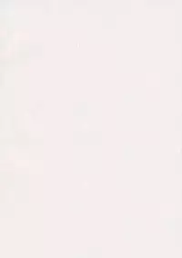 (Reitaisai SP2) [Fatboy (Geneil)] Preying Range... (Touhou Project)