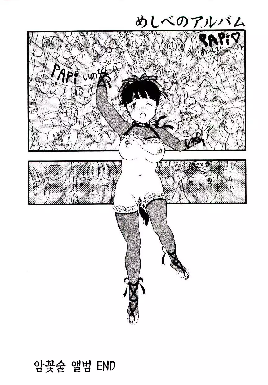 Meshi be no album |암꽃술 앨범