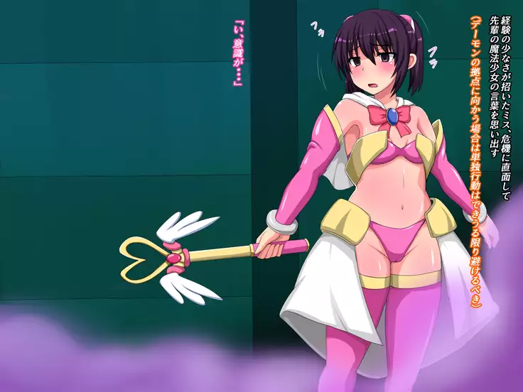 魔法少女苗床化計画