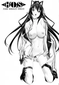 (COMIC1☆5) [IRODORI (SOYOSOYO)] H'I,S (Infinite Stratos) [English] =TV=