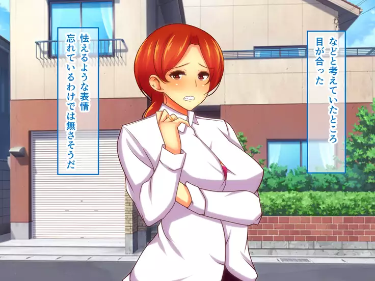 Sekkyou Zuki na Kinjo no Hitozuma-tachi o SeFri ni Shite Yatta Ken