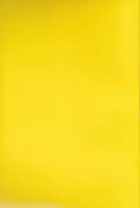 (HaruCC19) [Rokka (Yuinoz)] beautiful boyfriend (Free!)