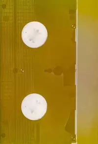 [Yanagawa Rio] AV Cine Club