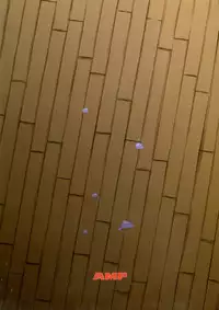 (C92) [AMP (Norakuro Nero)] Inma-jutsu Kyousei Koubi (Rokudenashi Majutsu Koushi to Akashic Records) [Chinese] [塔布里斯個人漢化]