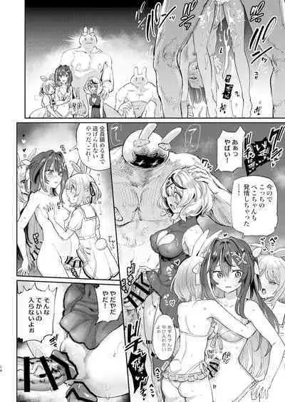 Hatsujou Usagi Rinkansai