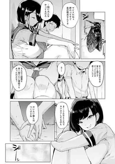 メス肉密着日和