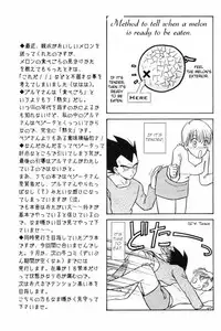 [Ryuujin-kai (HITO Ribuki)] Dangerous Beauty (DRAGON BALL Z) [English]