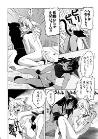 (C53) [.30-06 (Tsutsumi Akari)] CAZA MAYOR