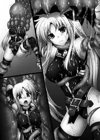 [Daraku Jiko Chousa Iinkai (Sch-mit)] Daraku Shitsumukan (Mahou Shoujo Lyrical Nanoha) [Digital]