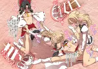 [Koutetsu (Satou Hagane)] Touhou Suzunaan Hienma Hiroku (Touhou Project) [Digital]