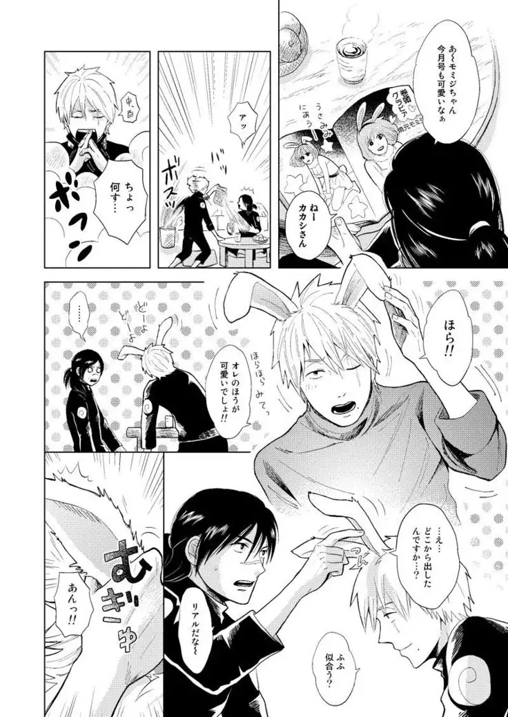 Konoha Kinboshi Doori no Shoukei