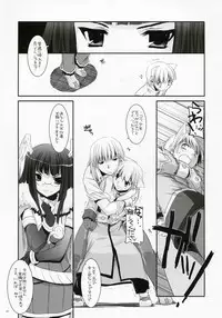 (C73) [Digital Lover (Nakajima Yuka)] D.L. Action 41 (Ragnarok Online)