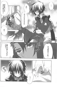 (C82) [sachi-machi (Shiina Ayumi)] Kimio no Taion wa Uso Mitai na Shiawase (Gundam Seed Destiny)