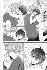 (C87) [CACHE-CACHE (Nanjou Papiko)] DripLink01 (Free!) [English] [ichigo-day]