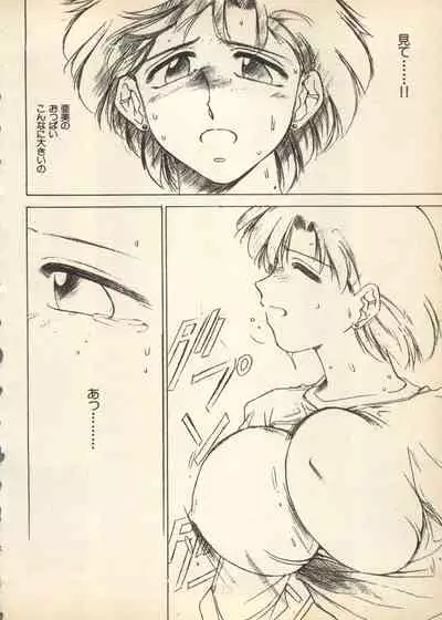 Shin Bishoujo Shoukougun 3 Yamato hen