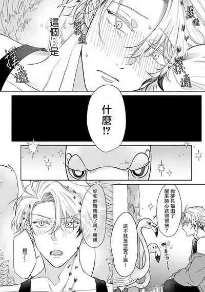 Fukurou no Koiwazurai | 猫头鹰的相思病