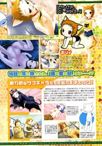 COMIC Megastore 2005-06