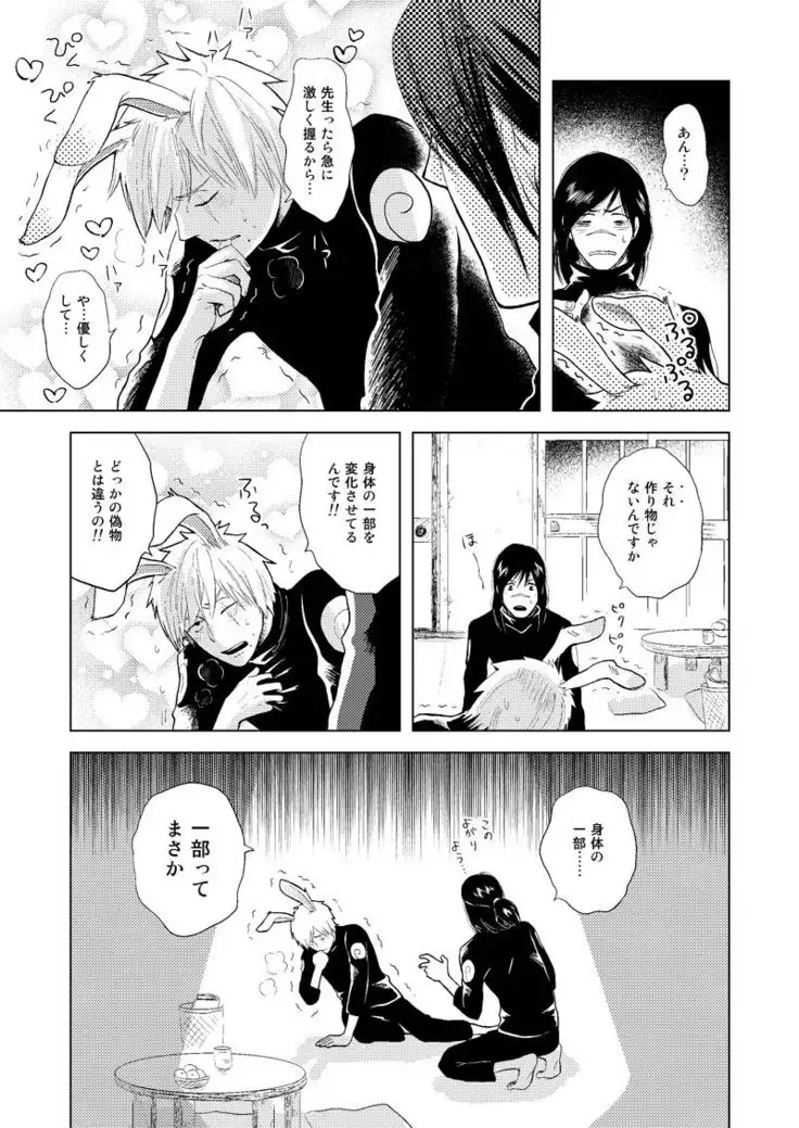 Konoha Kinboshi Doori no Shoukei