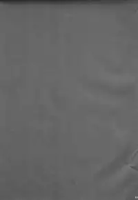 (C87) [Watagashi Maker, Naikai (Tomiko, Emilio)] Shounen Dokubutsu | Boy Poison (Hunter x Hunter) [English] [HXH-Doujinshilivejournal]