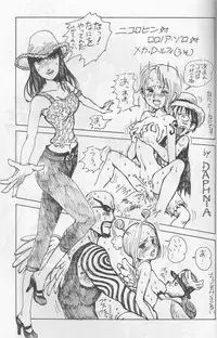 (C65) [Okirakudou (Various)] Kaizoku Shukujo (One Piece)