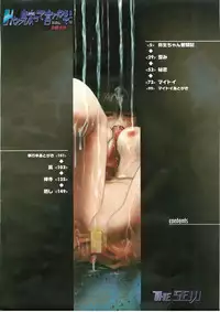 [The Seiji] H na Karadatte Iwanaide