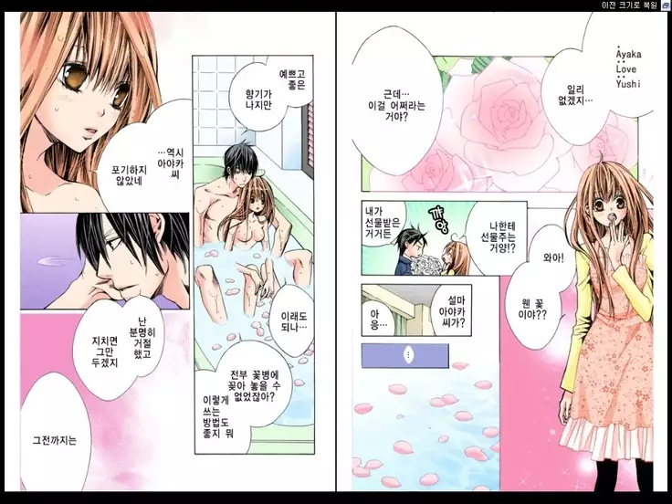 Naisho no Love Mariage | 비밀의 결혼