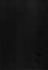 (C79) [Akusei-Shinseibutsu (Nori)] Bungaku Shoujo Gahou (Pokemon)