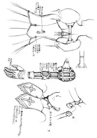 (C77) [VETO (ZOL)] Black Paradise Junbigou (Himekishi Lilia)