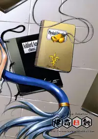 (COMIC1☆2) [Kaiki Nisshoku (Ayano Naoto)] Villetta Sensei ni Moeru Hon (CODE GEASS: Lelouch of the Rebellion)