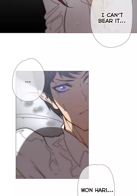 Household Affairs Ch.1-37