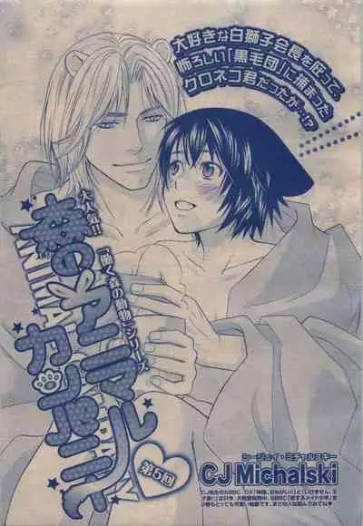 BE・BOY GOLD 2009-12