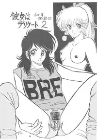 (C36) [DESTINATION (Oda Jun)] Kanojo wa Delicate SPECIAL (Combattler V)