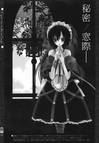 (Yoru no Costume Cafe) [Neuromancer., Tenjikuya (Kannon Ouji, Mochizuki Nana)] Night Maid Bird Cage.