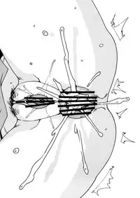 (C80) [MAIDOLL (Fei)] Anaru wa Ore no Yome (Ano Hi Mita Hana no Namae wo Bokutachi wa Mada Shiranai)