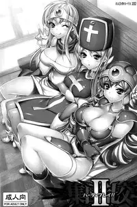 (C82) [Kashiwa-ya (Hiyo Hiyo)] Shuudan Rankou Party Play!!-II (Dragon Quest III)