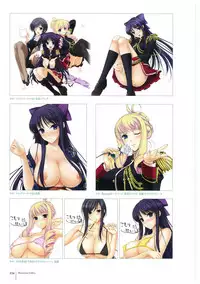 Walkure Romanze More & More Visual Fan Book