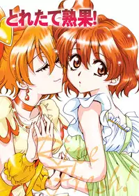 (C76) [Nyagos (Yatengetu)] Toretate Jukuka! (Fresh Precure!)