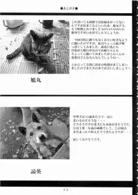 (SC26) [Renga Company (Asahimaru, Ryouei)] BANANAMIX 6