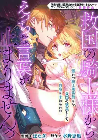 [Po tagi mizuno kei mu] kyūkoku no kishi-sama kara etchina kotoba ga tomarimasen ~tsu | 救国的骑士大人无法停止下流的话 (dekiai reijō wa dan'na-sama kara nige raremasen… ~tsuansorojīkomikku: 2) [Chinese] [莉赛特汉化组]