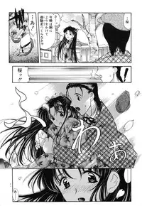 [Amayumi] Sakura Sakura