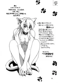 (C54) [.30-06 (Tsutsumi Akari)] CAZA MAYOR 3