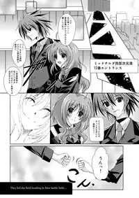[The Seventh Sign] THE BEAUTIFUL WORLD (Mahou shoujo lyrical Nanoha)