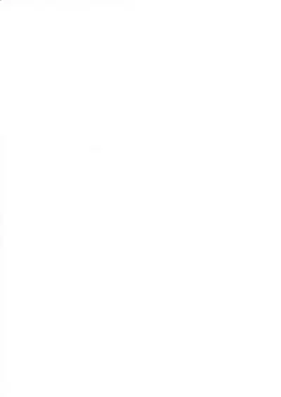 Kimija Nakya Dame Mitai