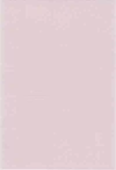 Toukai Chiiki Genteiteki Ramen-ya Kanban Musume Soushuuhen